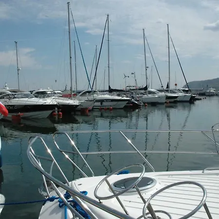 Wojcik Porto Gdynia