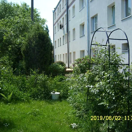 Wojcik Porto アパート *